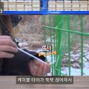 더블유티 인터내셔널