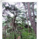 마곡사3 이미지