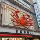 [2025 오사카] 교토 카니도라쿠 런치세트 후기