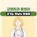 우성웰메디 | 경기도 하남시 망월동 교정치과 총정리