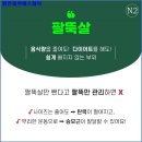 맑은피부에스테틱 - 서구 | 맑은피부에스테틱