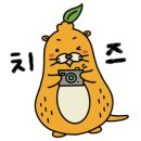 제주벤처마루 이미지