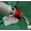 미드미 동물의료센터 이미지