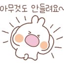 동해바구니