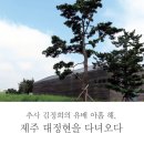 추사 김정희의 유배 아홉 해, 제주 대정현 이미지
