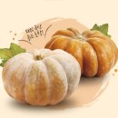 김선호농장 이미지