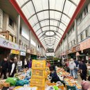 🛒양양 / 양양 오일장 구경(모종, 호떡, 먹거리)