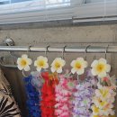 행복을 나누는 하와이 훌라 이미지