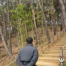 민들레미코 이미지