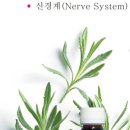 최고피부관리실