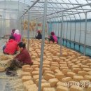 비래경로당 이미지