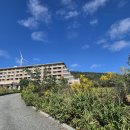 엘리시안 호텔 이미지