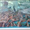 팔팔민박 이미지