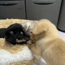 옹기종기 이미지