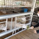 수안보농장 이미지