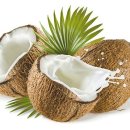 "코코넛 오일은 지구상에서 가장 몸에 좋은 기름" 이미지