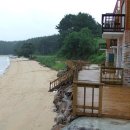 언덕나무펜션 이미지