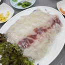 개나리슈퍼 | 강릉 차박 :: suv차박 ( 사근진해변차박 / 순긋해변차박 )