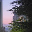 장전 온누리약국 이미지