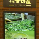 강남찻집&맥주 다이닝코드