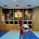 신영태비태권도 이미지