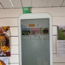설악눈메골시장 | 3000일을 곁들인 (1) | 에델바이스 스위스테마파크 / 설악5일장 눈메골시장 / 애견동반식당 가평쭈꾸미