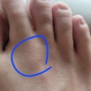 배곧서울정형외과의원 이미지