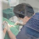 광명치과기공소 이미지