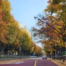 강서구-68 이미지