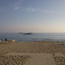 경포의하루