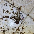 동암 경로당 이미지