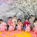 청주영재어린이집 이미지