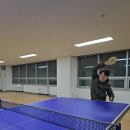 탁구(초급) | 하말 시그니처 블레이드 프리미엄 전문가용 선수용 카본탁구라켓 추천 탁구 초보 실사용 후기
