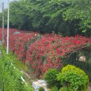 예술夜-음악 이미지