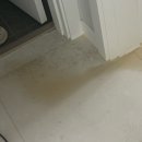 그린펫동물병원 | [제품리뷰] 강아지와 아기를 함께 키우는 집 필수품! GreenPet 프리미엄 탈취소독제 추천해요