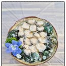 별난셀프회타운 | 평택맛집 발견한 별난셀프회타운 솔직 방문 후기