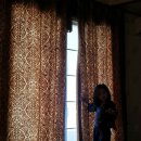 보성로뎀 이미지