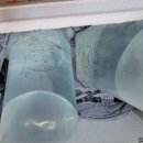 뀰아쿠아 네이버블로그