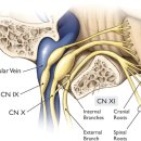 압구정한의원 이미지