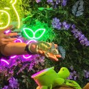 피그월드 | 제주 모모쥬 동물원 먹이주기 체험 솔직 후기 :) 미니피그 귀여움에 치이고 카피바라로 힐링했다