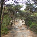 마포-현장-마포-1453 | 듬직하게 생긴 서울 도심의 영원한 우백호, 인왕산 나들이 (인왕산길, 한양도성, 치마바위, 기차바위)