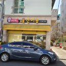 애니원애견미용 네이버블로그