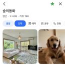 숲의동화 | [충남/예산] 감성 숙소 힐링 여행 추천 | 숲의동화 | 강아지 숙소 분위기 좋은 숙소