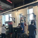 셀럽바디 이미지