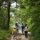 천마산농장 이미지