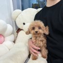 행복을 배우는 공간 이미지