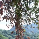 백담계곡 이미지