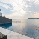 슈가브리움 이미지