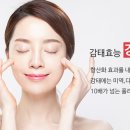 라이프렉스(주)