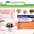 배철수 플라워